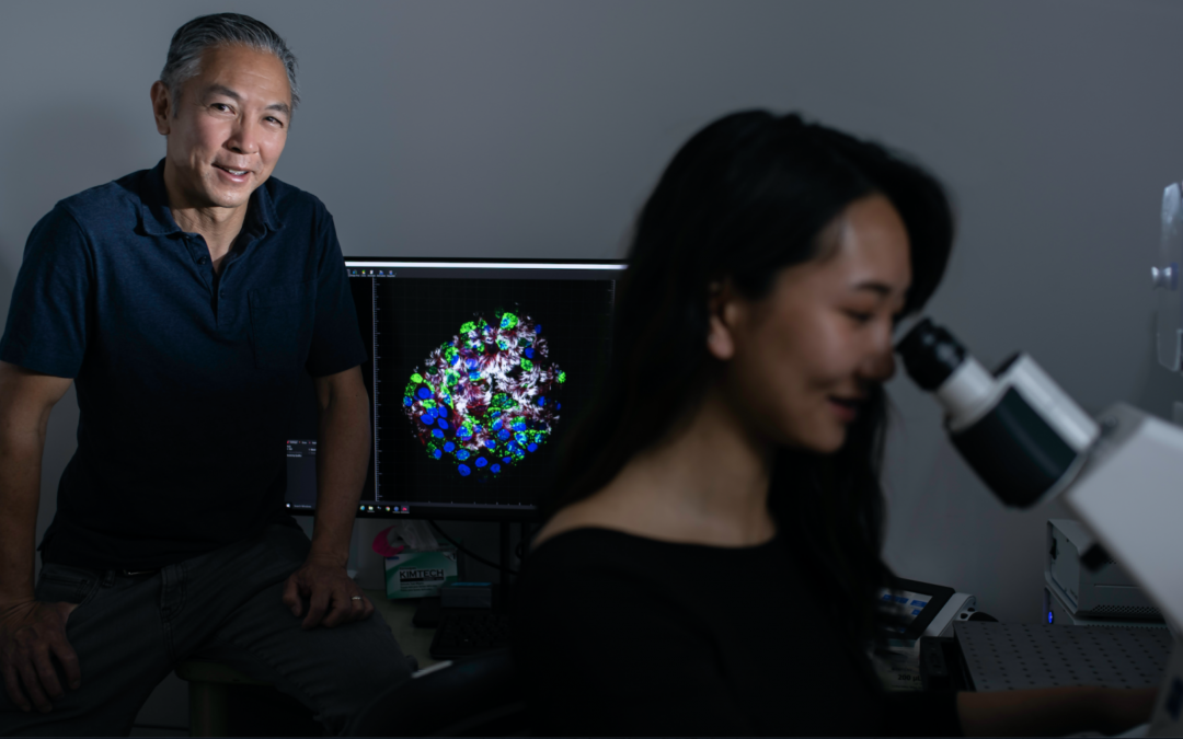 Lung Organoids: A Novel Way to Model COVID Infection